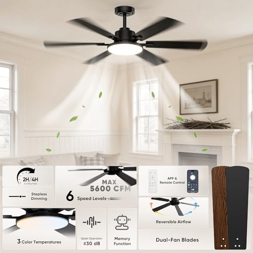 Black Eterfun ceiling fan with remote