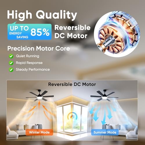 Eterfun ceiling fan dual sided blades