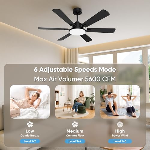 Living room setup with black Eterfun fan