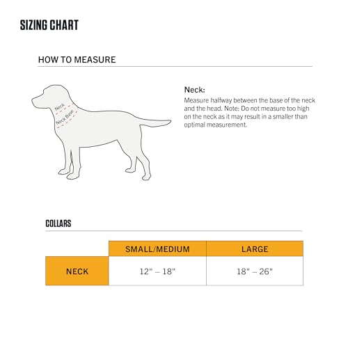 Carhartt Dog Collar Shaded Spruce branding tag
