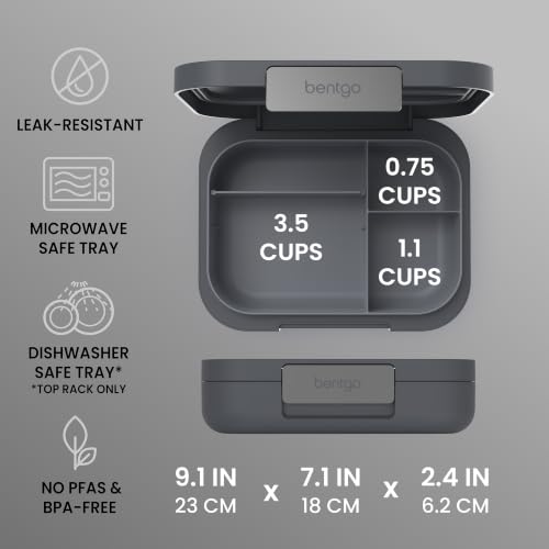 Bentgo Modern lunch box with 4 compartments open