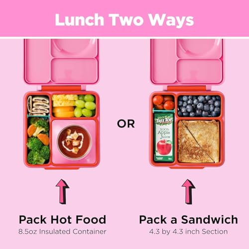 Omie Bento lunch box with internal dividers