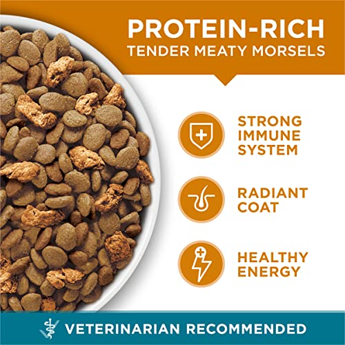 High-protein cat food graphic