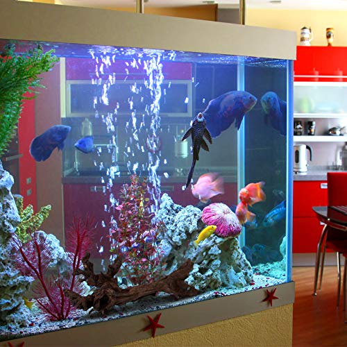 Aquarium setup with majoywoo wood