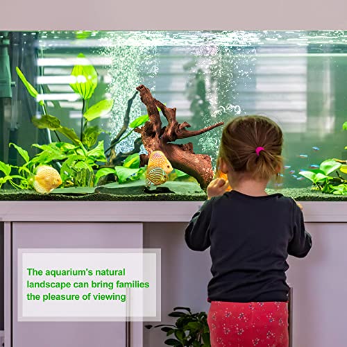 Three-pack bundle of aquarium wood