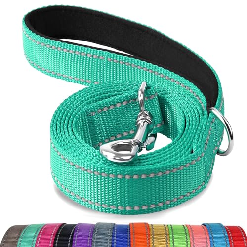 Joytale Reflective Dog Leash turquoise 6 ft
