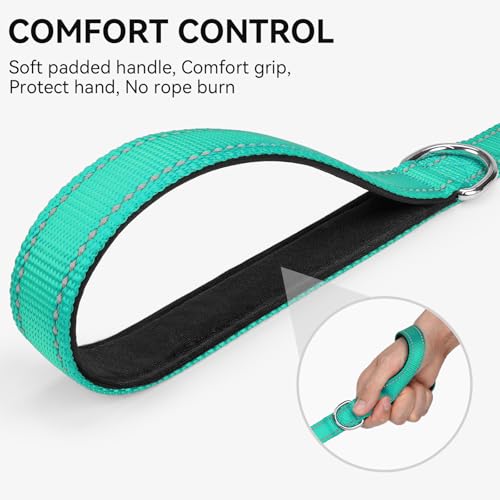 Padded handle of Joytale reflective leash