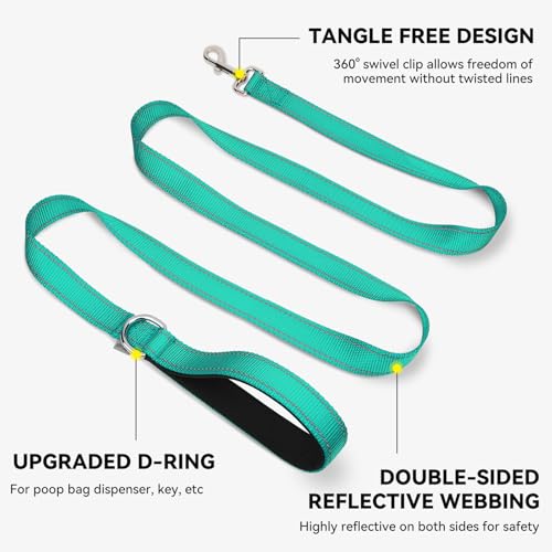 Turquoise Joytale leash with D-ring