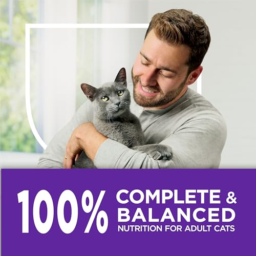 Purina Cat Chow adult cat feeding guide