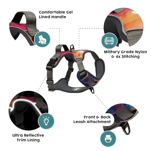 Front D-ring attachment on Embark medium dog harness
