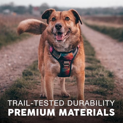 Reinforced safety clips on Embark Aurora dog harness