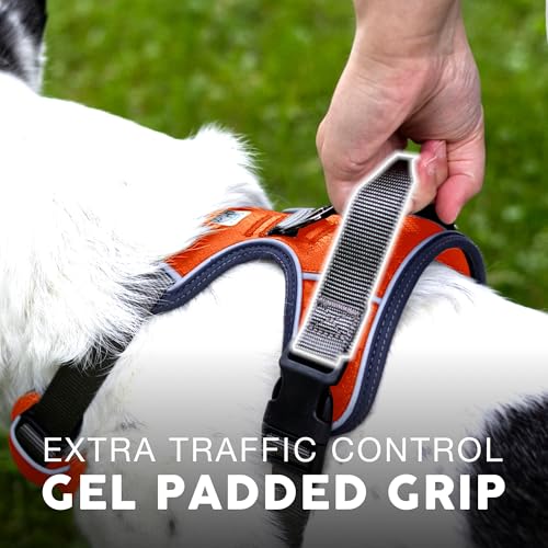 Soft interior padding of Embark No Pull harness