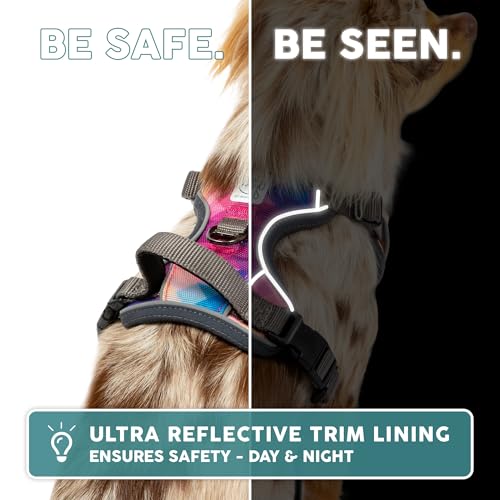 Embark Pets harness worn by a medium sized dog