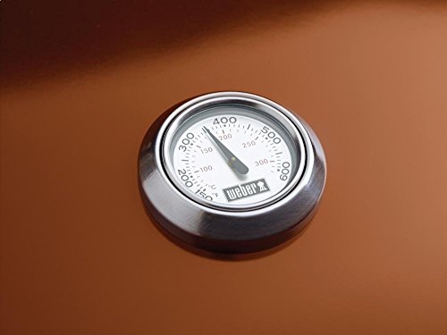 One-Touch cleaning system ash catcher detail