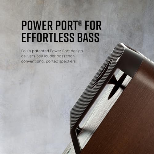 Polk Audio ES20 rear panel and connection terminals