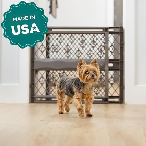 MYPET Paws gate showing clearance for home baseboard molding