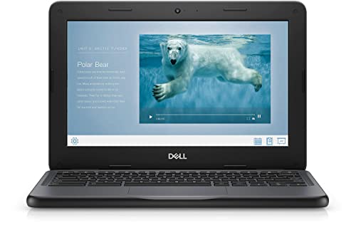Dell Chromebook 11 3100 keyboard and trackpad