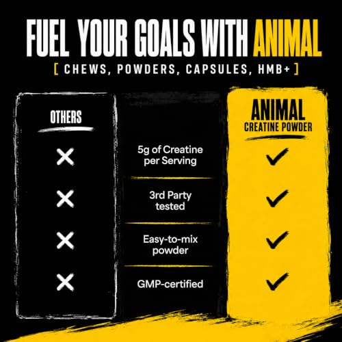 Creatine supplement for daily use