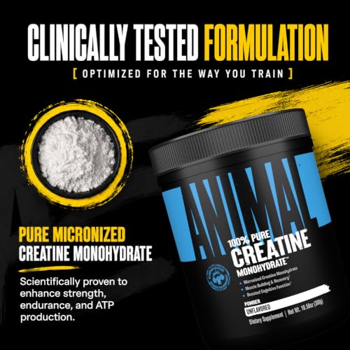 Animal Creatine for athletes and active adults