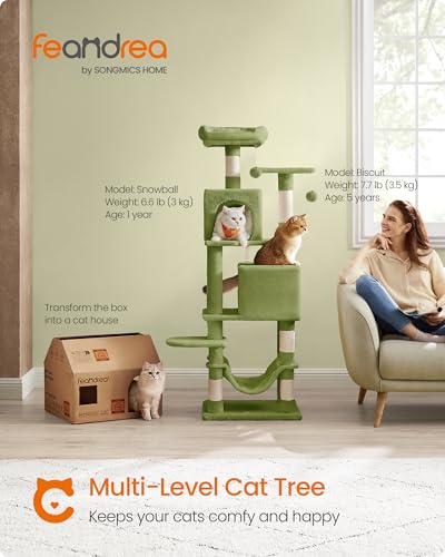 Close up of Feandrea cat tree perches
