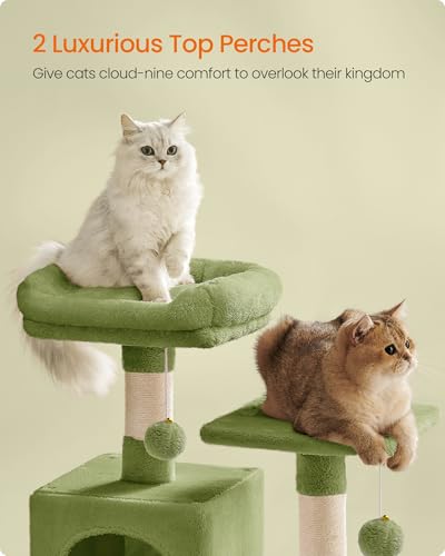 Cat caves on Feandrea tower