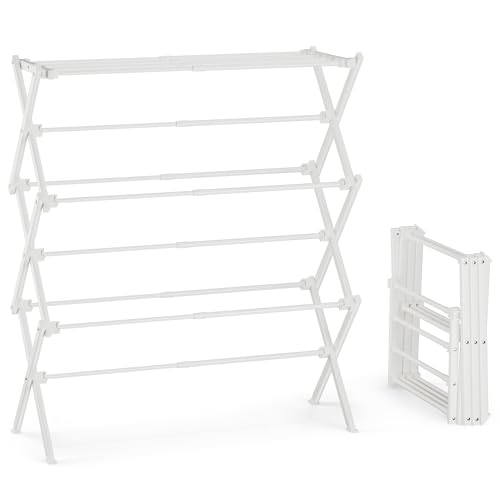 Compact storage behind a closet door