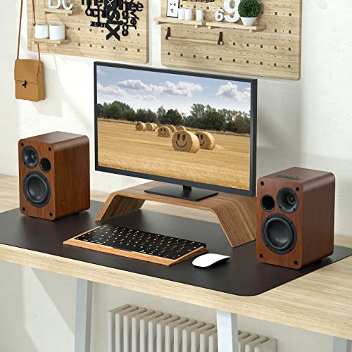 Silk dome tweeter and woofer close up