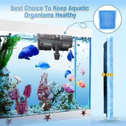 Clean aquarium water filtration setup