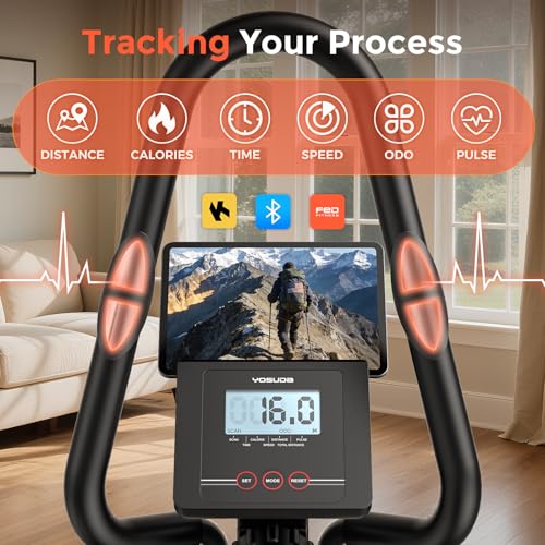 Elliptical with 300 LBS Weight Capacity