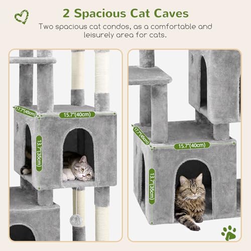 Spacious cat condo interior