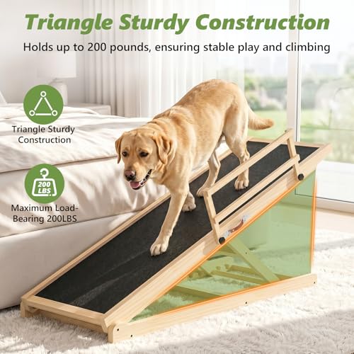 X XBEN dog ramp positioned against a bed