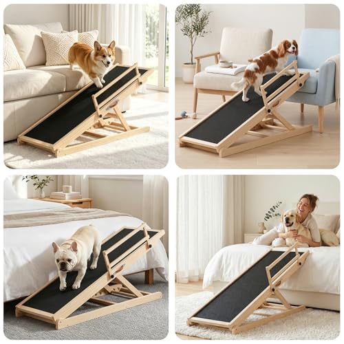 X XBEN ramp with side safety rails