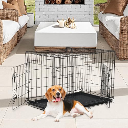 FDW black dog kennel front view