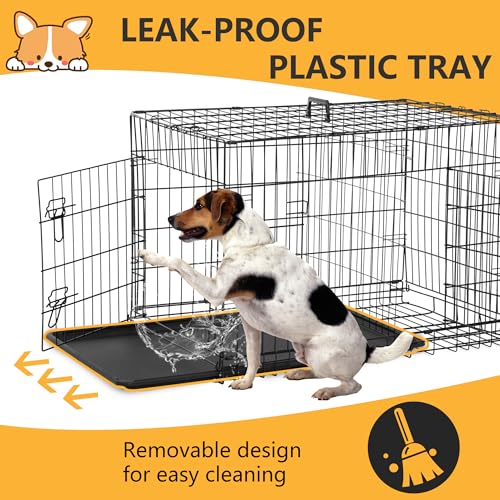 Folded FDW dog cage for storage