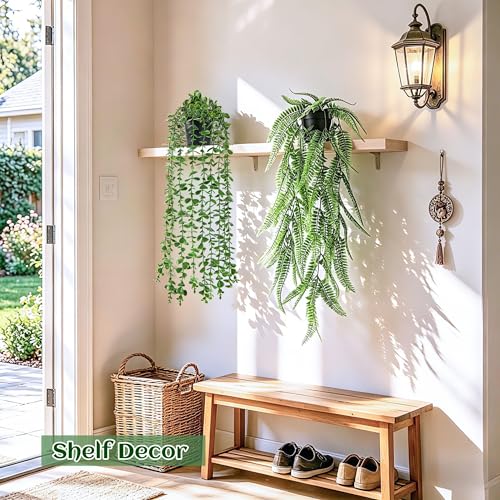 Set of four hanging plants on wall shelf