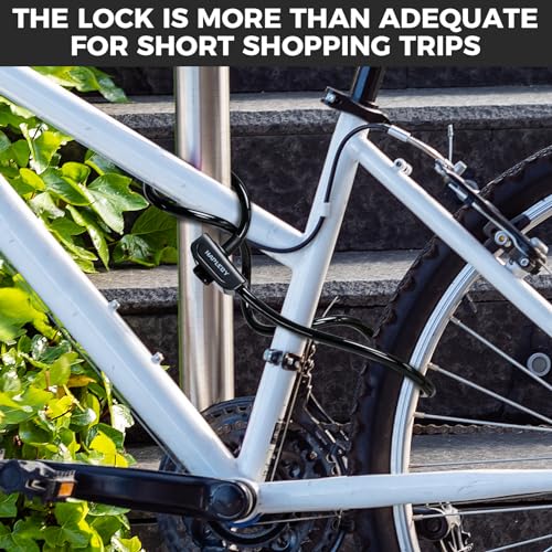 Full view of the Hapleby C-L001 lock with two keys