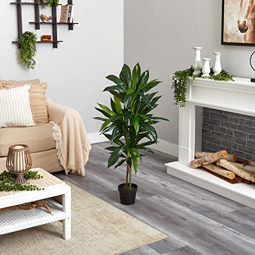 Artificial Dracaena positioned in an office setting