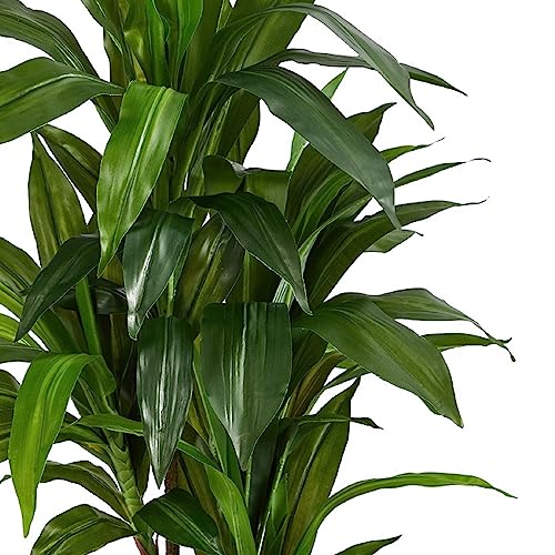Full height display of the Nearly Natural faux plant