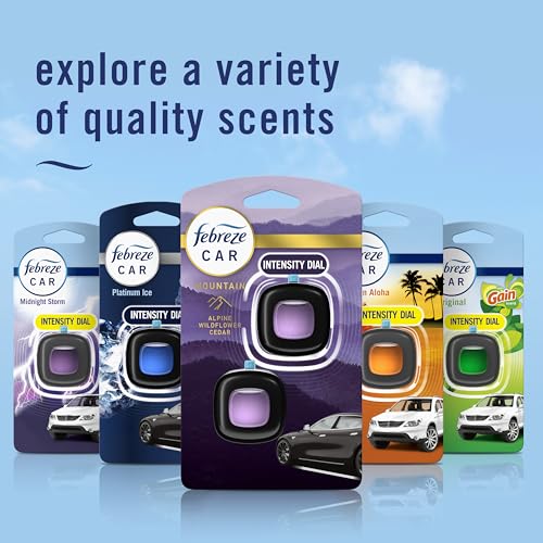 Febreze Car Mountain Scent product details view