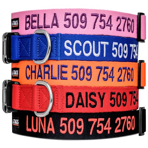 GoTags Personalized Dog Collar in red