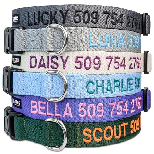 GoTags embroidered dog collar details