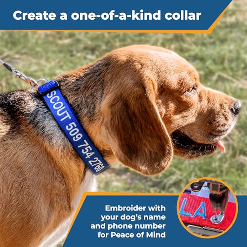 GoTags custom pet collar blue variant