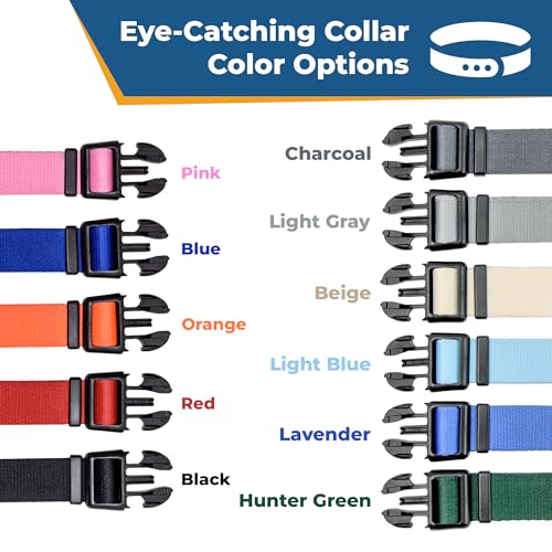 GoTags Personalized Dog Collar pink view