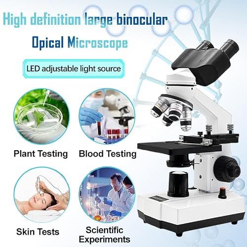 Microscope with binocular head