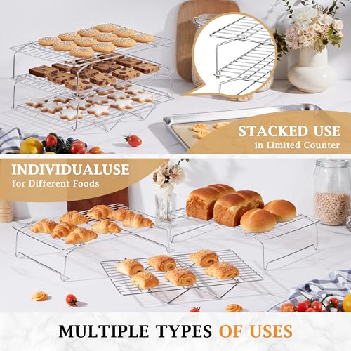 Collapsible rack folded for storage