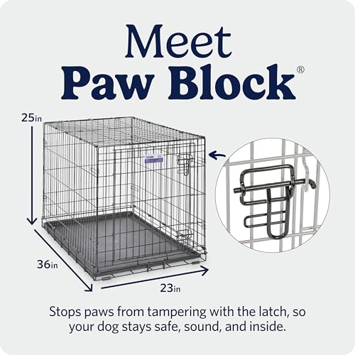 MidWest dog crate with interior divider panel