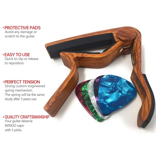 WINGO capo clamped on acoustic guitar neck