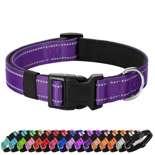 Penseepet purple reflective collar for medium dogs