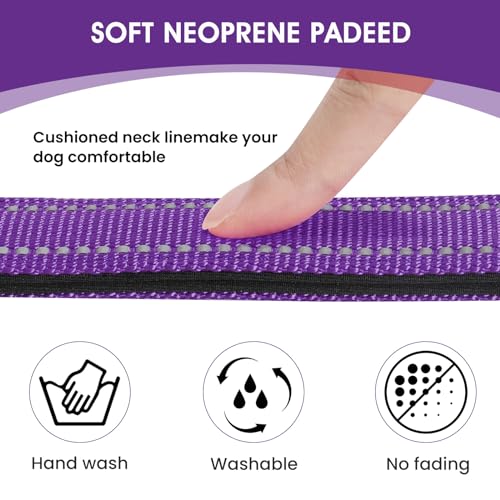 Penseepet dog collar with durable zinc alloy D-ring