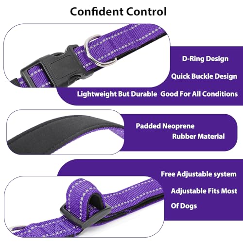 Adjustable purple nylon dog collar with plastic buckle